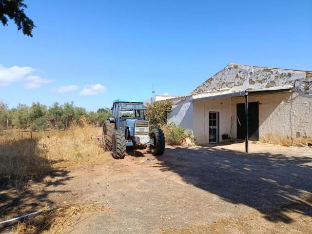 Terreno en venta en Ronda