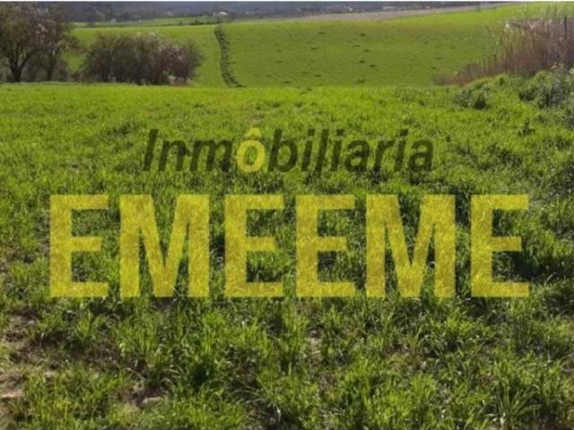 Terreno en Venta en Ronda