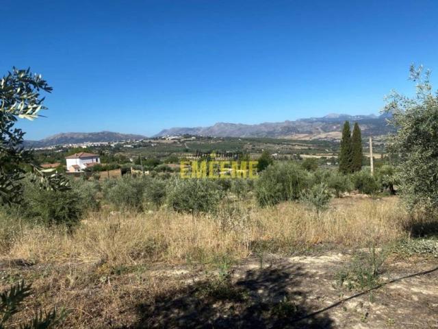 Terreno en Venta en Ronda