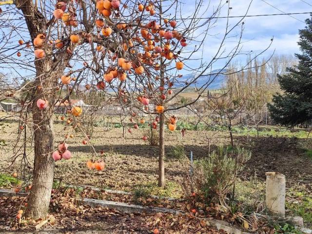 Terreno en Venta en Ronda