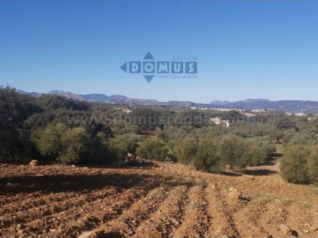 Terreno en Venta en Ronda