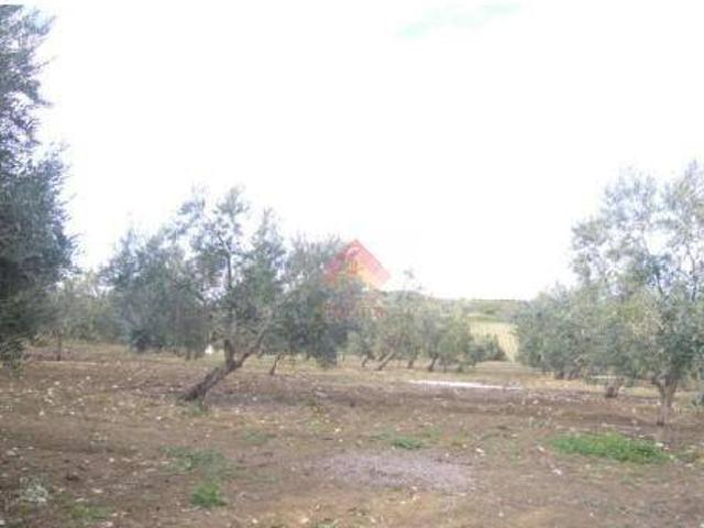 Casa rústica / Caserío en Venta en Ronda