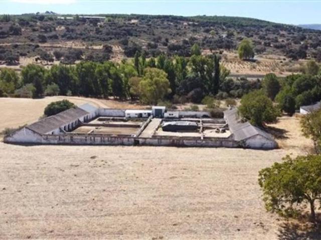 Terreno en Venta en Ronda