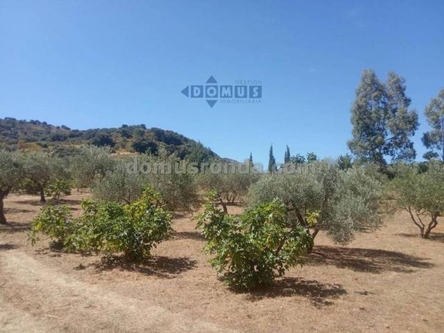 Terreno en Venta en Ronda