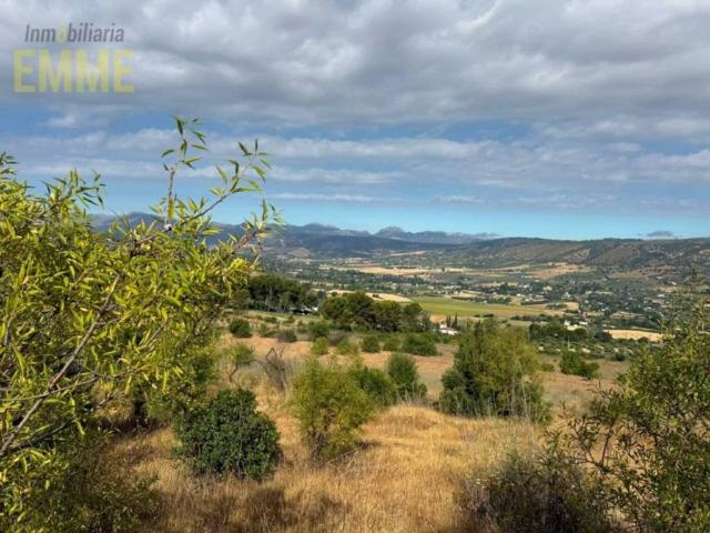 Terreno en Venta en Ronda