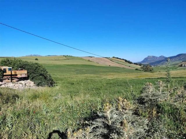 Terreno en Venta en Ronda