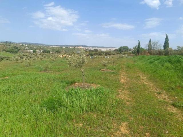 Terreno en Venta en Ronda