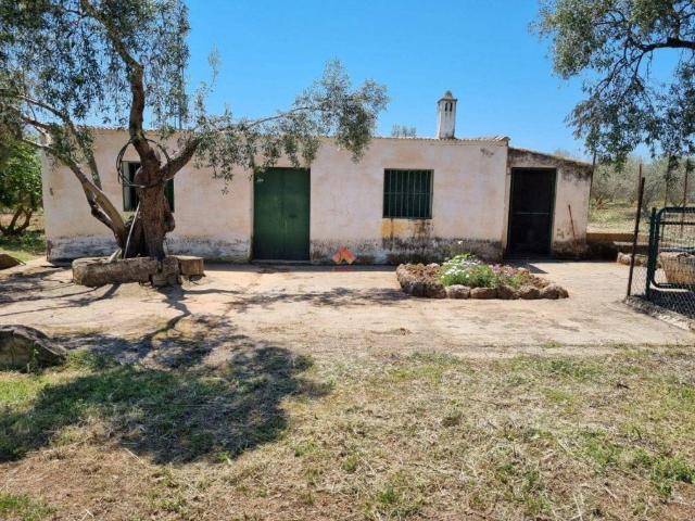Terreno en Venta en Ronda