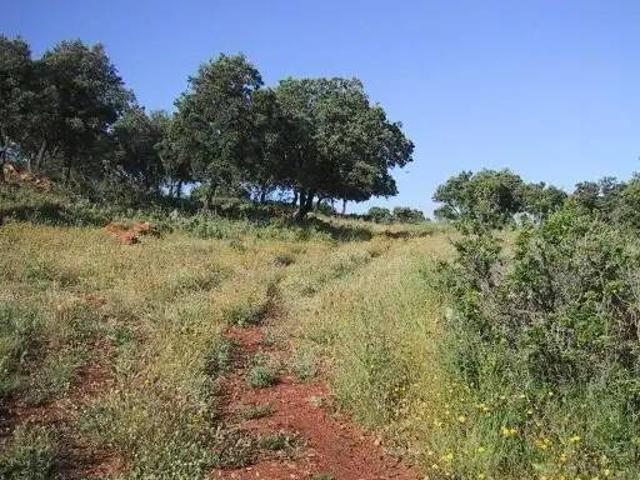 Terreno en Venta en Ronda