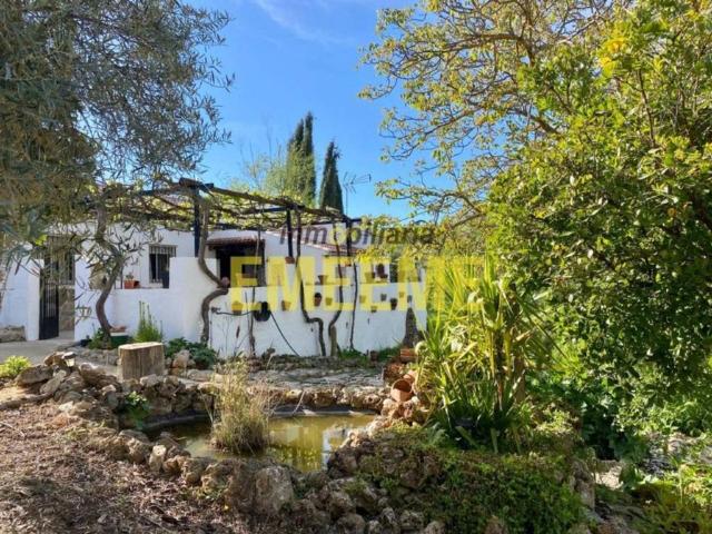 Terreno en Venta en Ronda