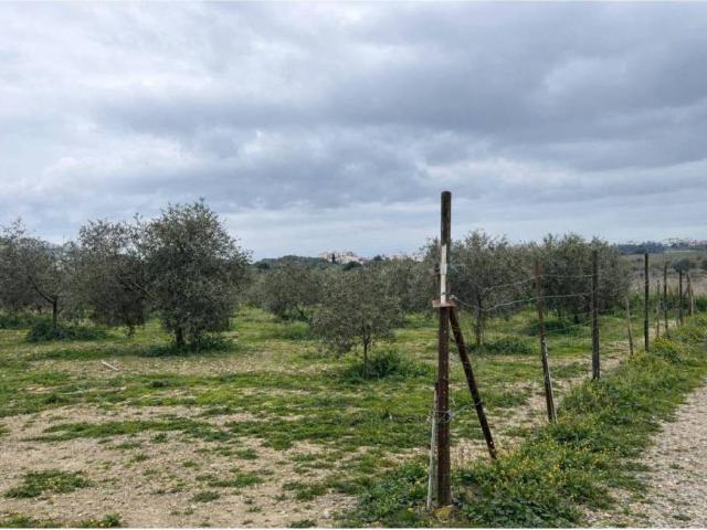 Terreno en Venta en Roses