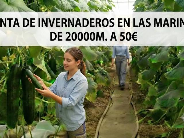 Terreno en Venta en Roquetas de Mar