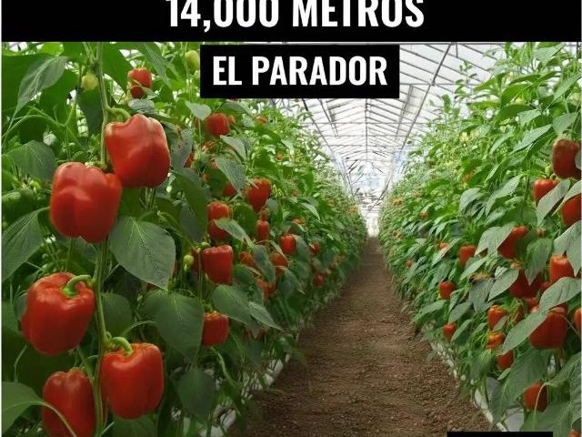 Terreno en Venta en Roquetas de Mar