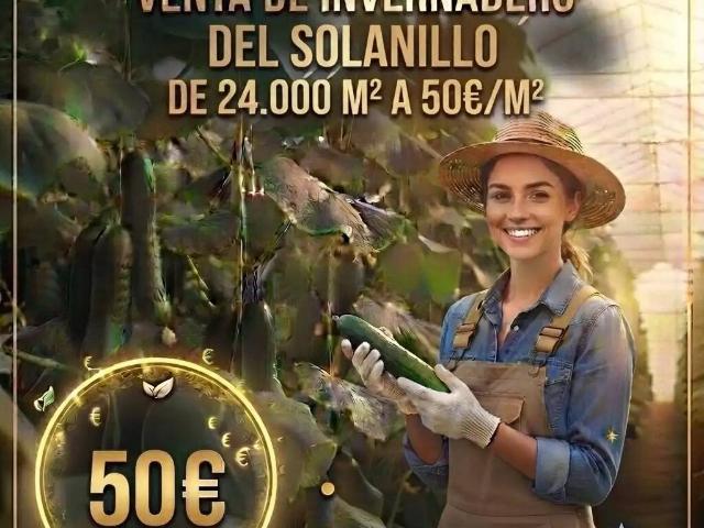 Terreno en Venta en Roquetas de Mar