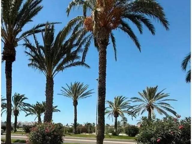 Terreno en Venta en Roquetas de Mar