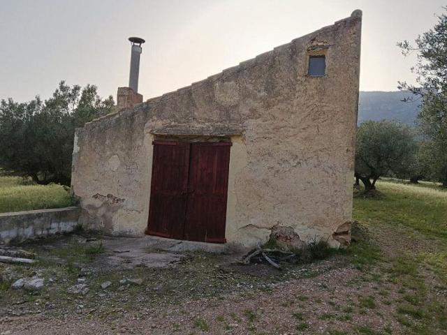 Terreno en venta en Roquetes, de 28.800 m² por 86.050