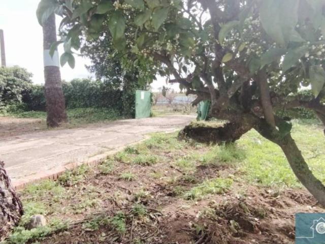 Terreno en Venta en Rota