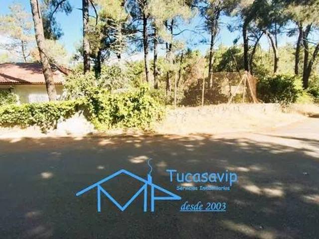 Terreno en Venta en Rozas de Puerto Real