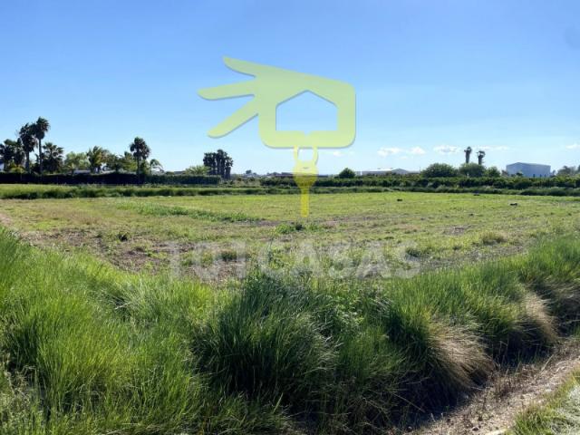 Terreno en venta en Sueca, Sueca