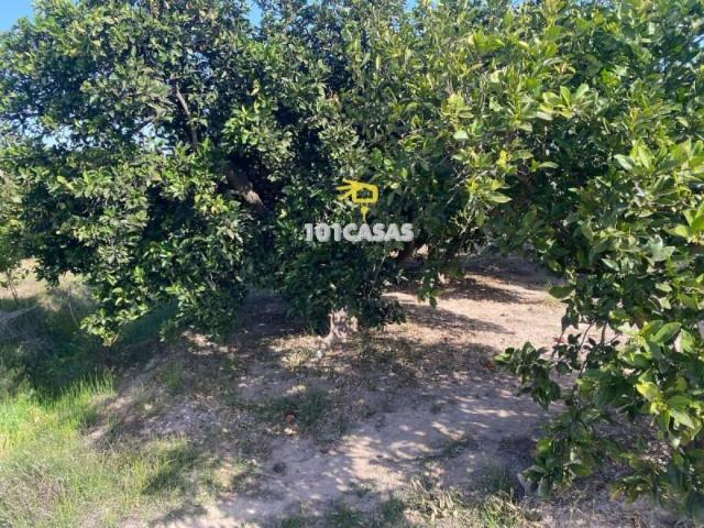 Terreno en venta en Sueca, Sueca