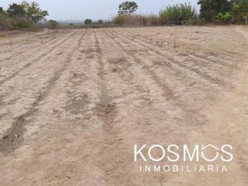¡Terreno en Venta en Sunampe Chincha! Oportunidad Única para Inversionistas