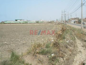 Terreno en venta en Supe Puerto a S/11,856,992