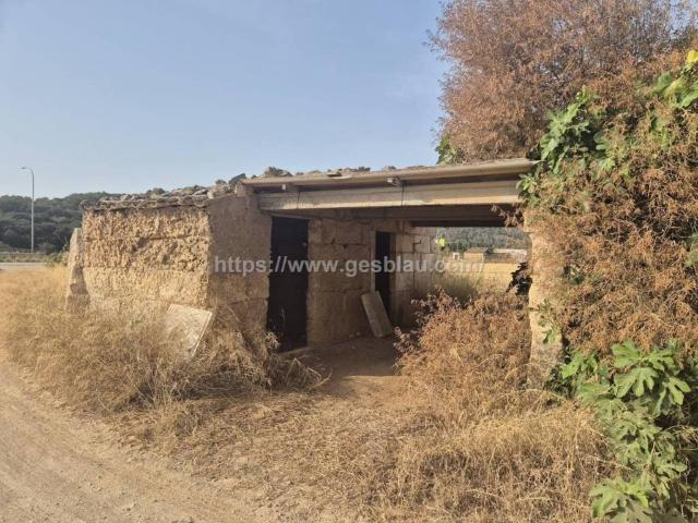 Terreno en Venta en Sa Pobla