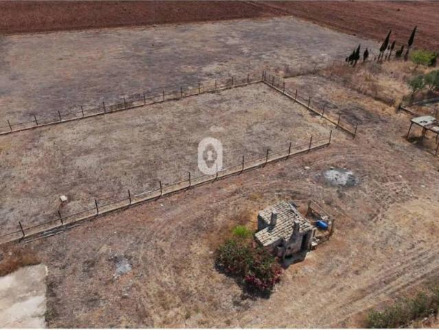 Terreno en Venta en Sa Pobla