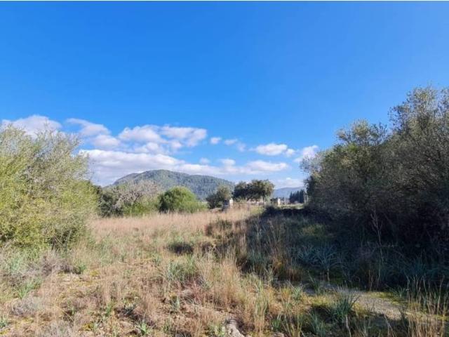 Terreno en Venta en Sa Pobla