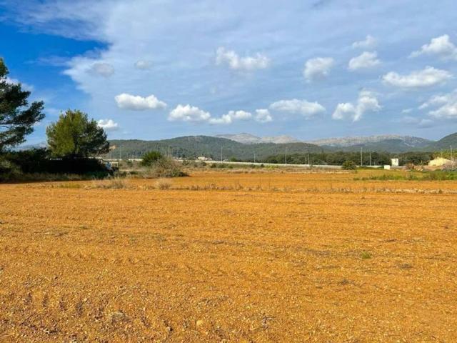 Terreno en Venta en Sa Pobla