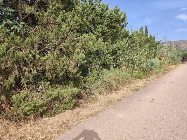 Terreno en Venta en Sa Pobla