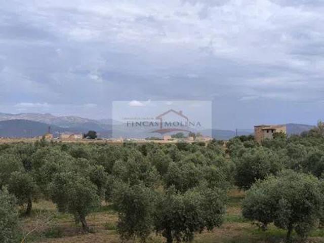 Terreno en Venta en Sa Pobla