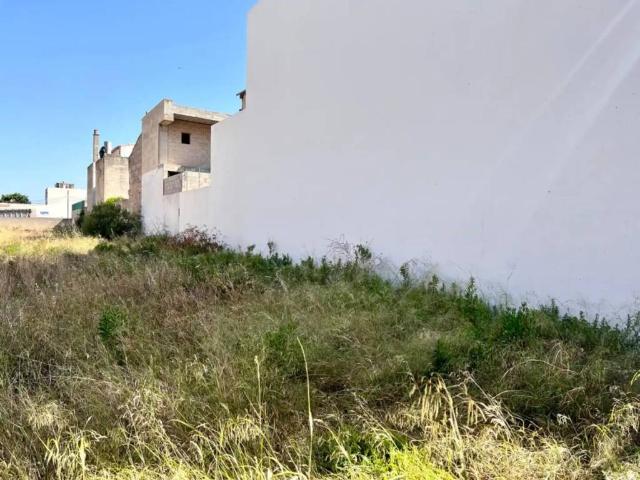 Terreno en Venta en Sa Pobla