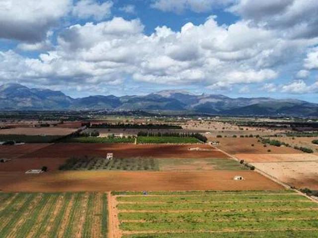 Terreno en Venta en Sa Pobla