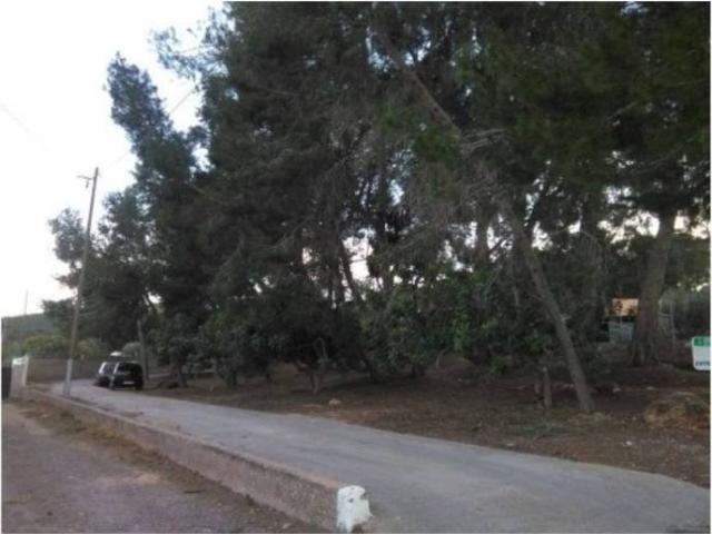 Terreno en Venta en Sagunto Sagunt