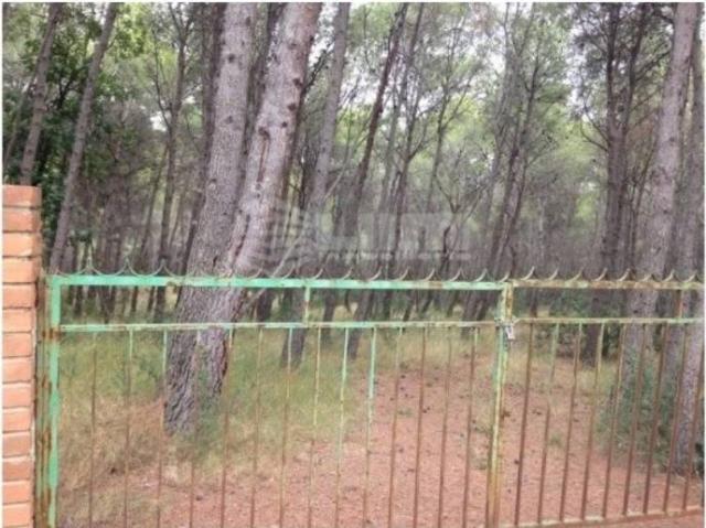 Terreno en Venta en Sagunto Sagunt