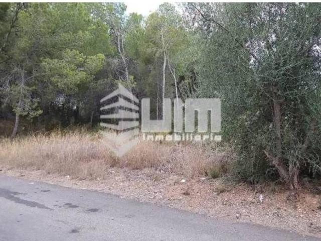 Terreno en Venta en Sagunto Sagunt