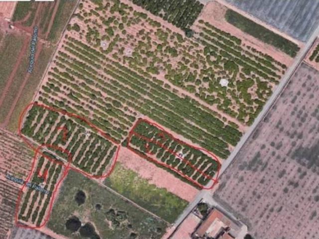 Terreno en Venta en Sagunto Sagunt