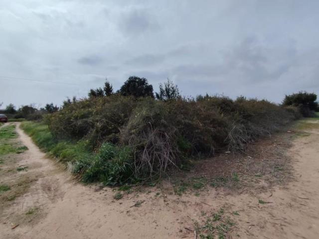 Terreno en venta en Sagunto, Sagunto Sagunt
