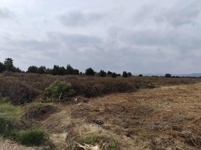 Terreno en venta en Sagunto, Sagunto Sagunt