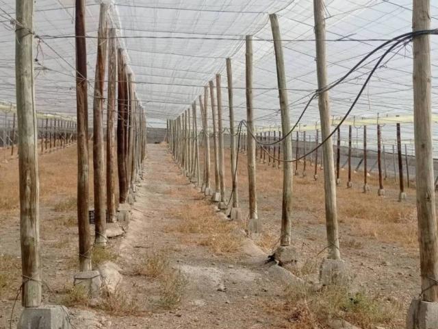 Terreno en Venta en Salobreña
