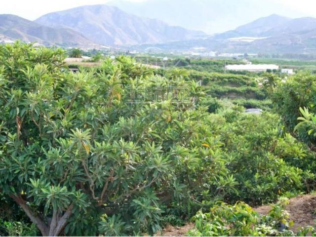 Terreno en Venta en Salobreña