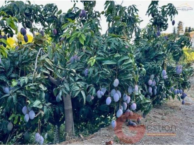 Terreno en Venta en Salobreña