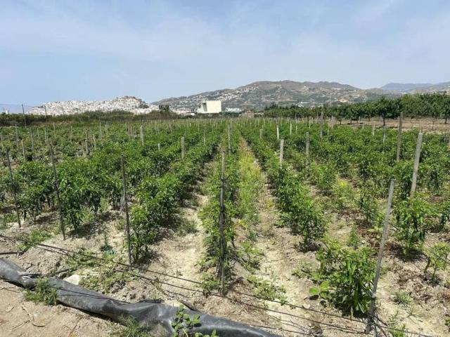 Terreno en Venta en Salobreña