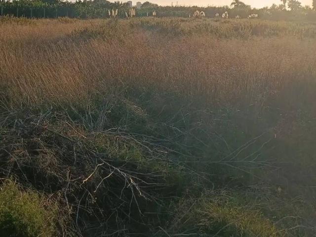 Terreno en Venta en Salobreña