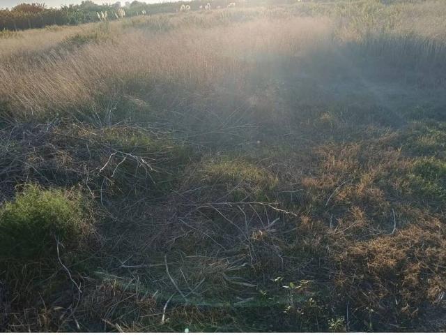 Terreno en Venta en Salobreña