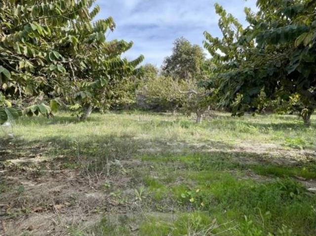 Terreno en Venta en Salobreña