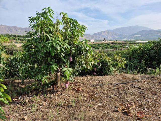 Terreno en Venta en Salobreña