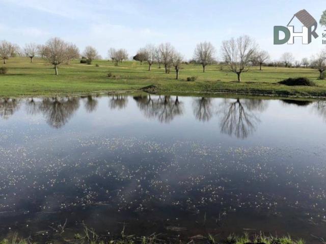 Terreno en Venta en Salamanca