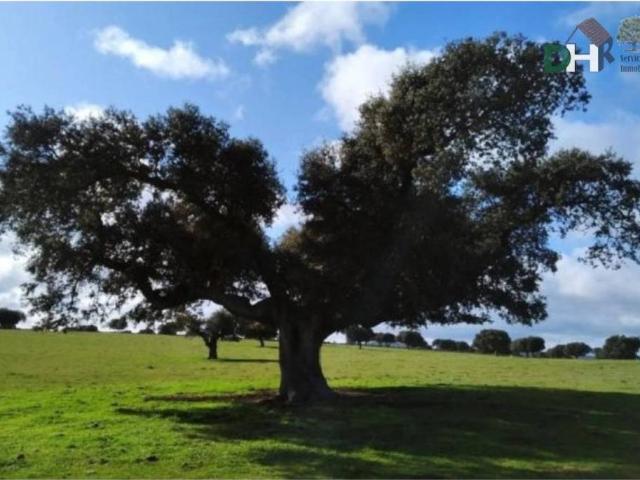 Terreno en Venta en Salamanca